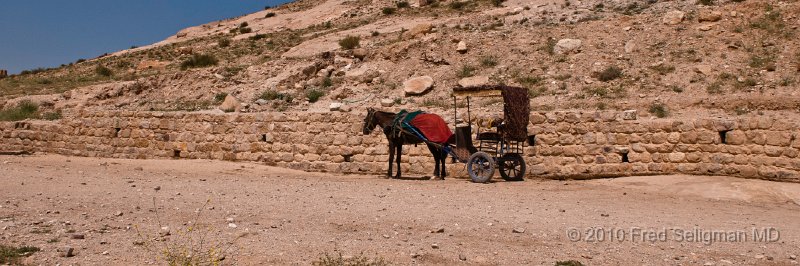 20100412_111551 D300.jpg - Horse and cart, Petra